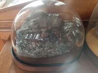 M 01536 a
<br/>
<br/>
<em></em>